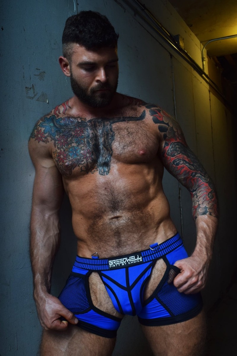 Jock Boxer Hybred Chock Bleu