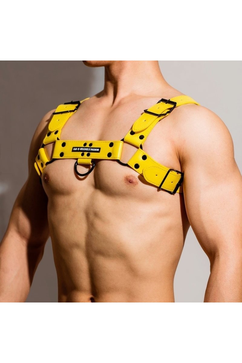 Harnais Chest All Jaune