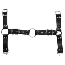 Harnais et Collier Optor Noir