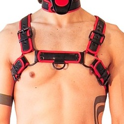 Harnais Puppy Harness...