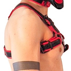 Harnais Puppy Harness Noir-Rouge