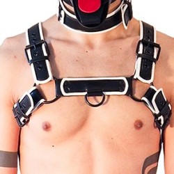 Harnais Puppy Harness...
