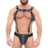 Taille L/XL  -  Ensemble Jock et Harnais Katerpillar Noir-Bleu