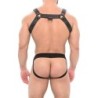 Taille L/XL  -  Ensemble Jock et Harnais Katerpillar Noir