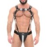 Taille L/XL  -  Ensemble Jock et Harnais Katerpillar Noir-Blanc