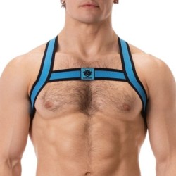 Harnais élastique Colin Bleu