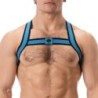 Harnais élastique Colin Bleu