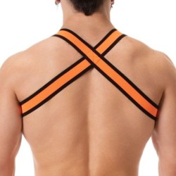 Harnais élastique Colin Orange