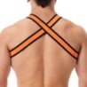 Harnais élastique Colin Orange