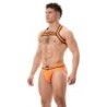 Harnais élastique Colin Orange